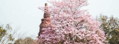 趵突泉开放时间及门票？趵突泉早上5点去要门票吗？