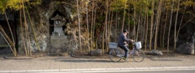 济南哪里代缴社保好？济南医保卡哪里领？