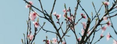 2022公务员山东省考时间及报考条件？山东省公务员怎么报考？