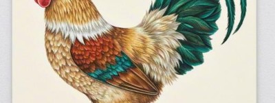 两鼠斗穴代表最佳生肖，解释词语落实释义