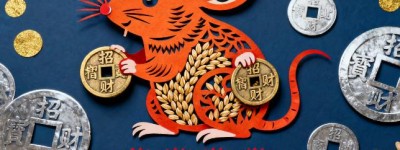 忧深思远是指代表什么生肖，最佳词语释义解释