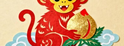 早春二月柳叶垂，八面玲珑小花猫打猜一准确生肖，精准快答揭晓落实