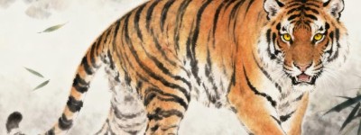 一干二净指一正确生肖是什么，精准筛选成语释义