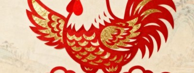 押押犯上台兔子不吃窝边草指代表是什么生肖，重点解答解释落实