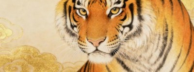 照猫画虎指什么最佳生肖，作答词语解释梳理