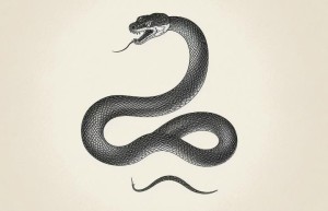 冷言冷语打一指什么生肖，解释词语落实释义