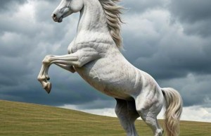 与虎谋皮打一指什么生肖，解释词语落实释义