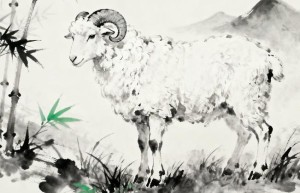 三十风流八有凭打一准确生肖，词语揭晓释义落实