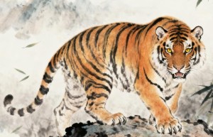 财源滚滚四六在，一湾水绿绕屋前是指什么生肖，全面落实词语释义