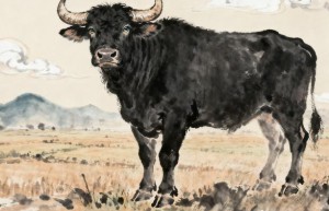 心心念念打一经典最佳生肖释义成语精选解读!