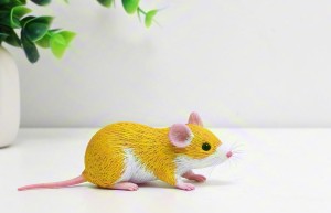 比下有余指是什么什么生肖，打一动物解释义最佳成语解释!