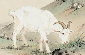 归骑纷纷满九衢是什么生肖,打一最佳全面解答解释落实